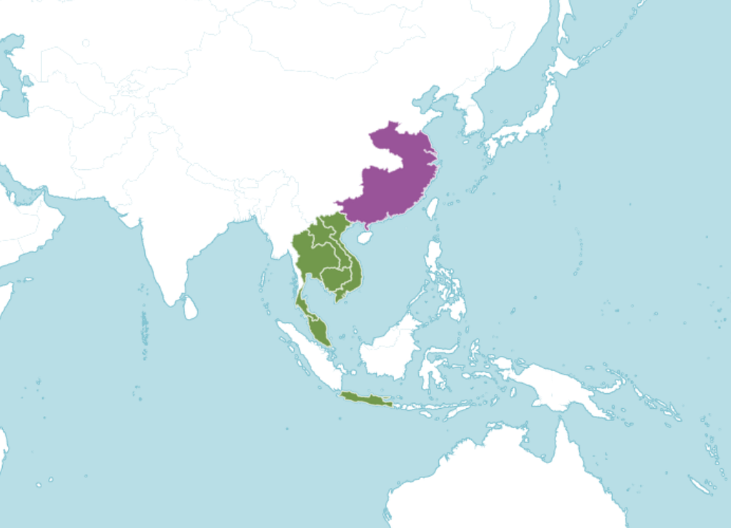 Hoya kerrii nativity in green and areas introduced in pink