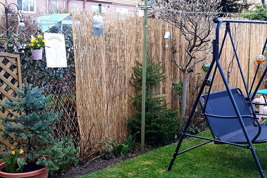 Vertical reeds fence screen