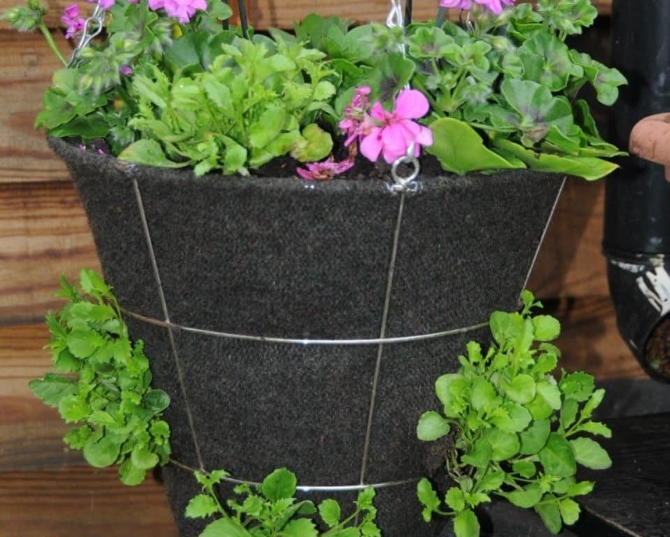 DIY flower basket