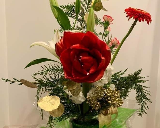 Cut amaryllis holiday gift flower idea